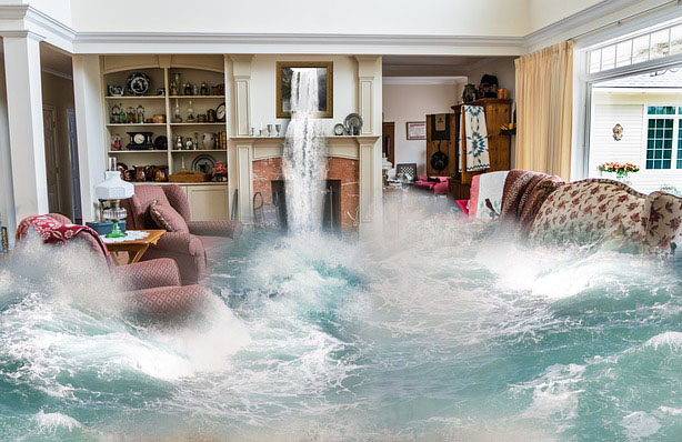 Water damage extraction and restoration
